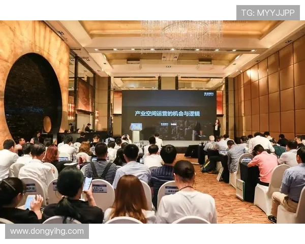 北京排球队运营体系探析与战术创新研究