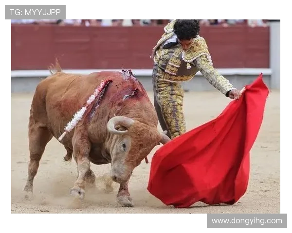 足球明星的华丽背后那些令人捧腹的搞笑瞬间与讽刺故事