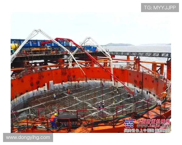 独具魅力的胡子足球明星们展现个性与风采的精彩瞬间