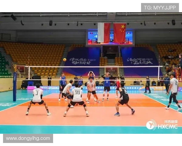 杭州排球队团队协作新模式引发热议助力竞技水平提升